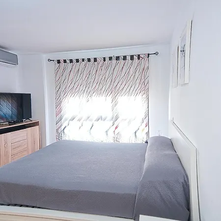 Jilguero Sunny * Palm-mar