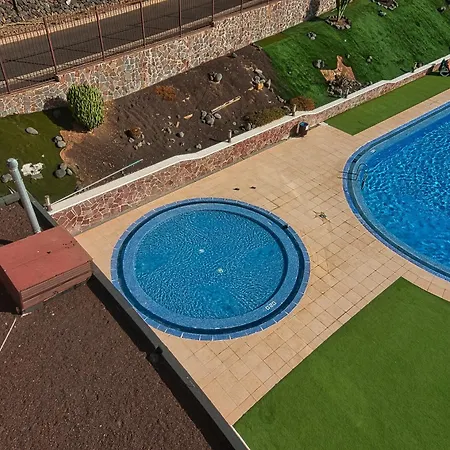 Jilguero Sunny Palm-mar