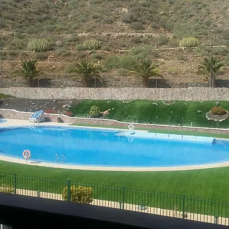 Jilguero Sunny * Palm-mar