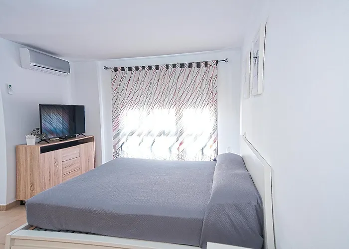 Jilguero Sunny * Эль-Пальмар