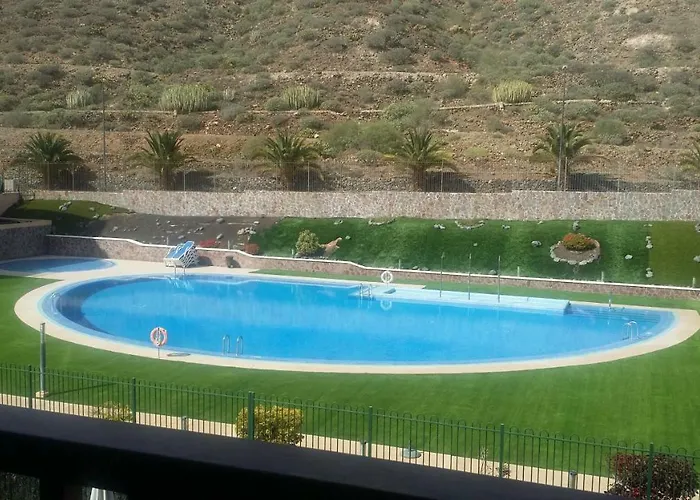 Jilguero Sunny * Palm-mar