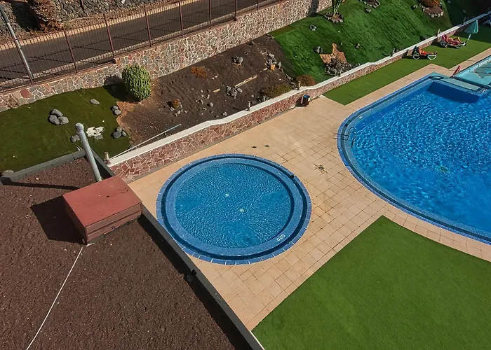 Jilguero Sunny Palm-mar